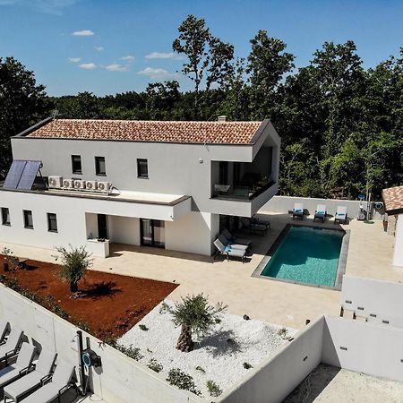 Villa Istra Relax Diamond Rebici Kültér fotó